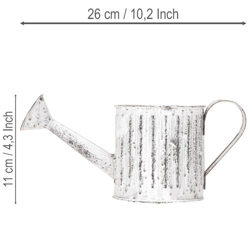 Decorative watering can, planter, watering can for planting Ø10.5cm | Floristik24.co.uk