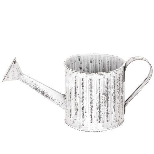 Decorative watering can, planter, watering can for planting Ø10.5cm | Floristik24.co.uk