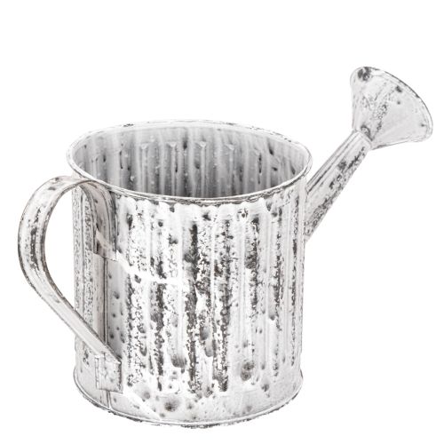 Decorative watering can, planter, watering can for planting Ø10.5cm | Floristik24.co.uk