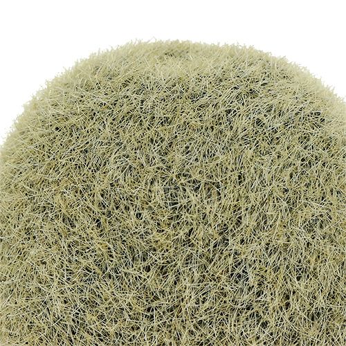 Floristik24 Decoration Kiwi 6cm 6pcs