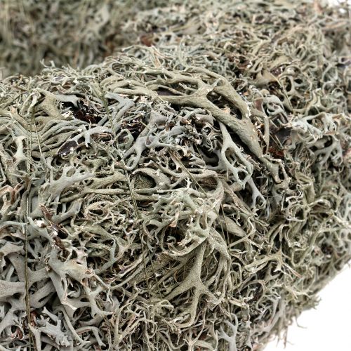 Floristik24 Decorative wreath, moss wreath gray Ø38cm 1p