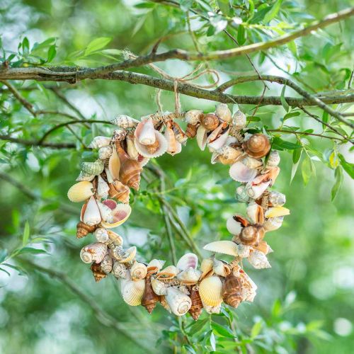 Floristik24 Decorative wreath shells and snails natural maritime decoration Ø30cm