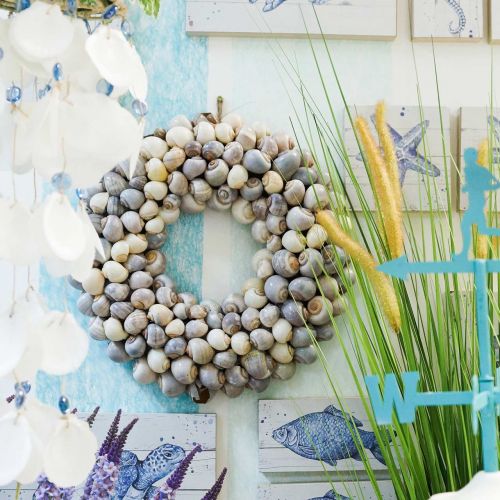 Product Snail wreath for hanging decorative wreath maritime Nathai Ø35cm