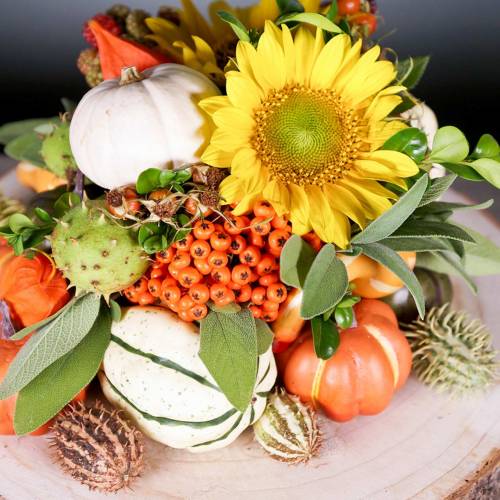 Floristik24 Deco pumpkin cream, green 11cm 6pcs
