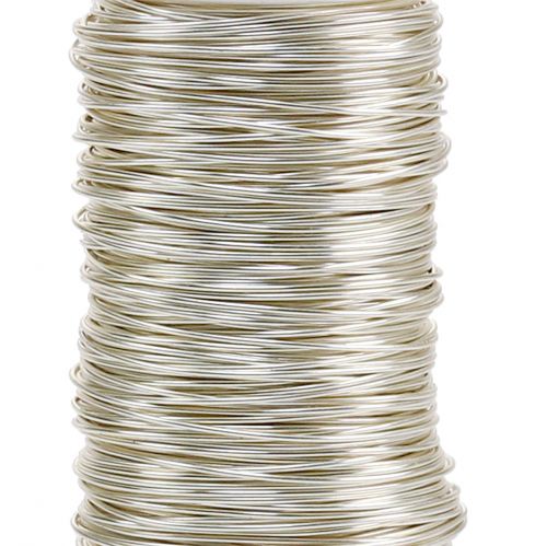 Product Decorative enameled wire champagne Ø0.50mm 50m 100g