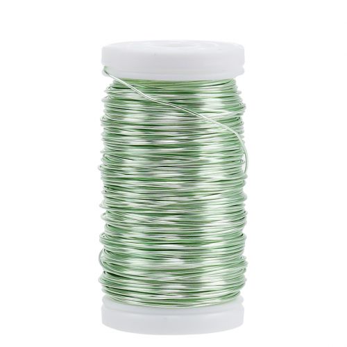 Product Deco enameled wire mint green Ø0.50mm 50m 100g