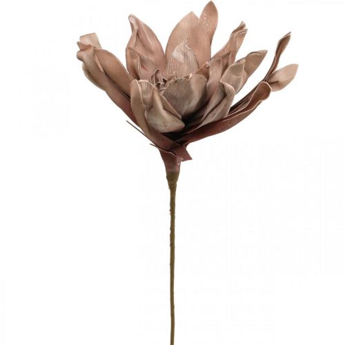 Floristik24 Deco lotus flower artificial lotus flower artificial flower brown L68cm