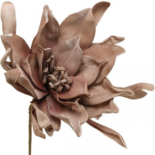 Product Deco lotus flower artificial lotus flower artificial flower brown L68cm