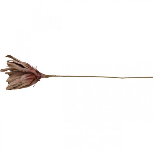 Floristik24 Deco lotus flower artificial lotus flower artificial flower brown L68cm