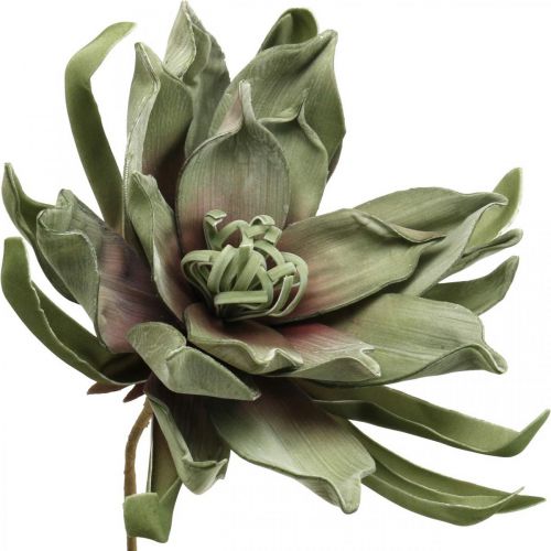 Floristik24 Deco lotus flower artificial lotus flower artificial flower green L70cm