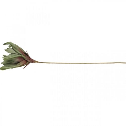 Floristik24 Deco lotus flower artificial lotus flower artificial flower green L70cm
