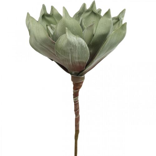 Product Deco lotus flower, lotus blossom, silk flower green L64cm