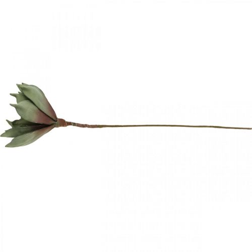 Floristik24 Deco lotus flower, lotus blossom, silk flower green L64cm