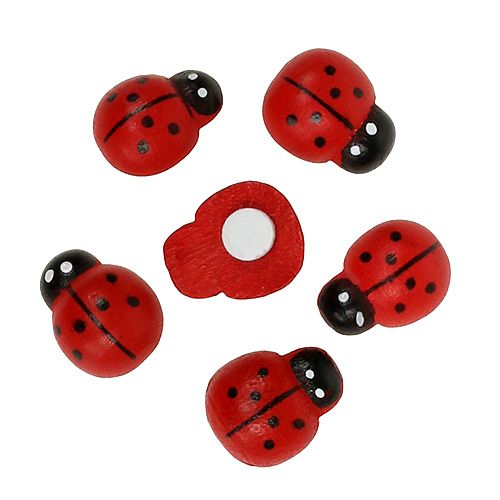 Floristik24 Decorative ladybugs for gluing 1.5cm red 360pcs
