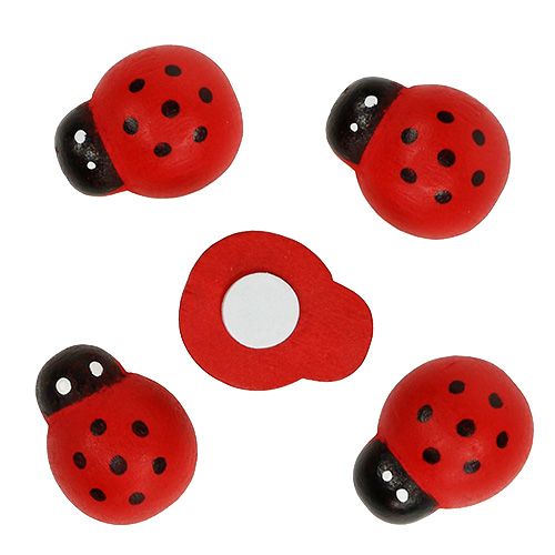 Floristik24 Decorative ladybugs for gluing 2.5cm red 72pcs