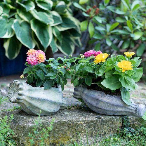 Floristik24 Decorative poppy capsule, concrete planter, cachepot, grave decoration L26cm