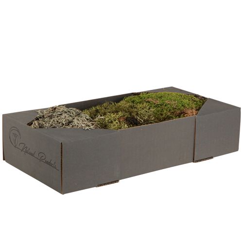 Product Decorative moss – real moss and lichen for arrangements 250g