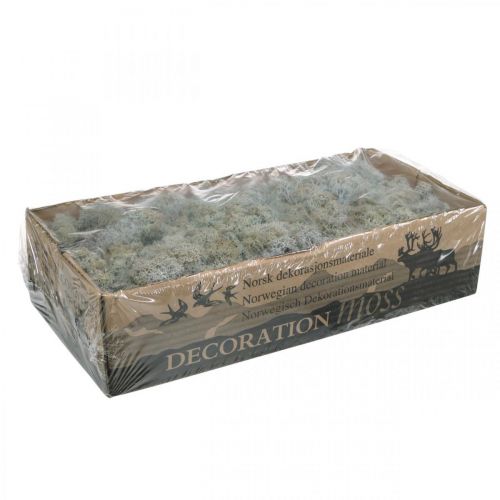 Product Decorative Moss Grey Natural Moss for Crafting Dried, Colored 500g