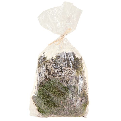 Product Decorative moss for crafts mix green, light green natural moss 75g