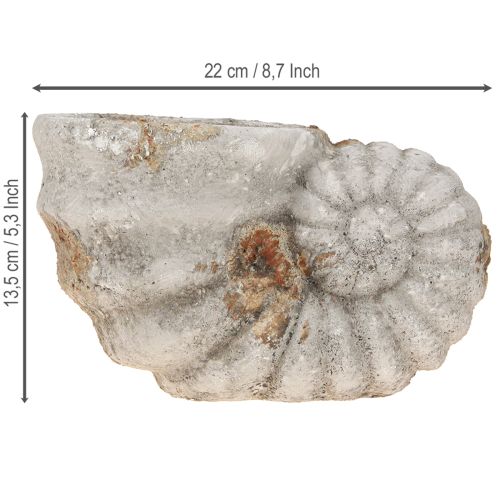 Product Decorative shell stone look flowerpot 22.5x13.5x13.5cm