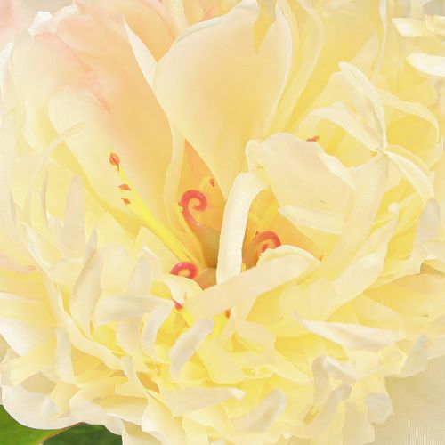Product Yellow Peonies Artificial Flowers with Blossom 64cm 2pcs