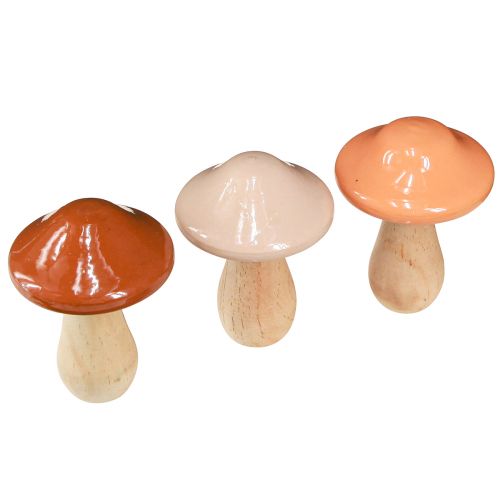 Product Decorative mushrooms made of wood brown beige orange Ø7.5cm H10cm 3 pcs