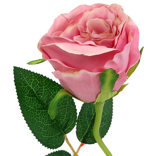 Floristik24 Deco rose Ø6cm old rose L50cm 1pc