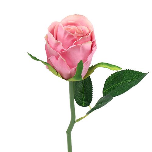 Floristik24 Deco rose Ø6cm pink L30cm 6pcs