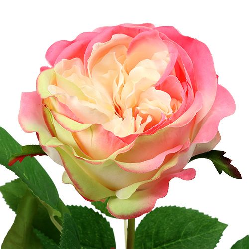 Product Deco Rose Pink Ø10cm 52cm 3pcs