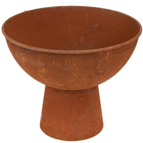 Product Decorative bowl with foot trophy bowl rust metal Ø20.5cm 2pcs