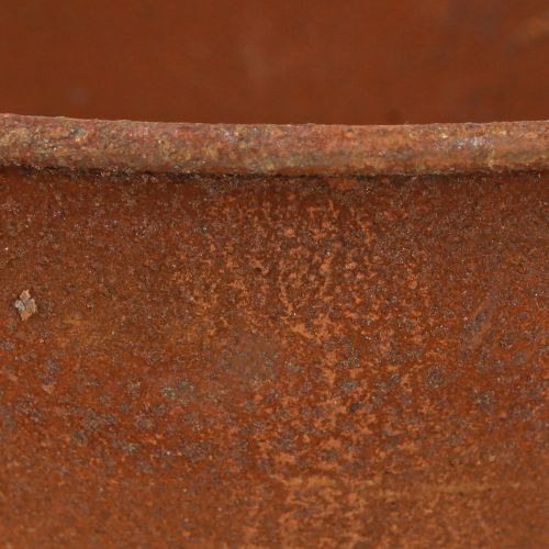Product Decorative bowl with foot trophy bowl rust metal Ø20.5cm 2pcs