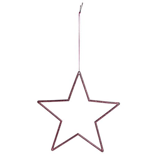 Product Decoration Star Berry Christmas decoration for hanging Ø18cm 8 pcs