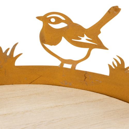 Decorative tray, table decoration with birds, spring decoration, rusted metal, Ø20cm H8.5cm | Floristik24.co.uk