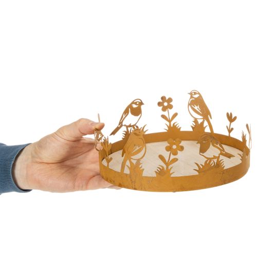 Decorative tray, table decoration with birds, spring decoration, rusted metal, Ø20cm H8.5cm | Floristik24.co.uk