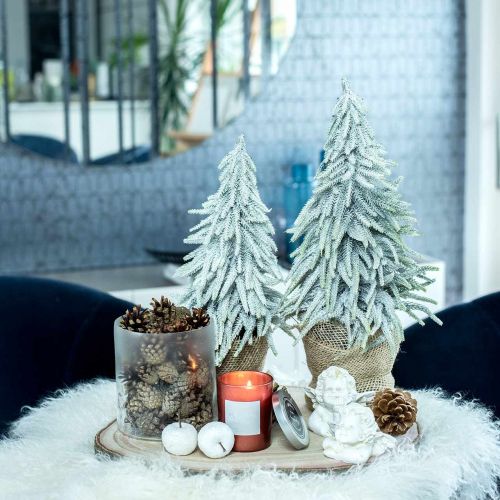 Floristik24 Decorative fir tree with snow, advent decoration, fir tree in a pot H37cm