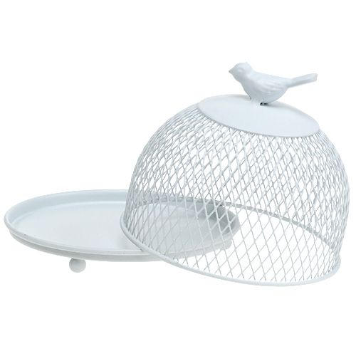 Floristik24 Decorative plate with hood white Ø14cm