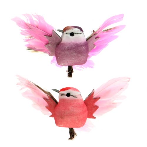 Floristik24 Deco birds on the clip pink / purple 9cm 8pcs