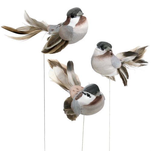 Floristik24 Deco Bird Gray, Brown 8,5cm 12pcs