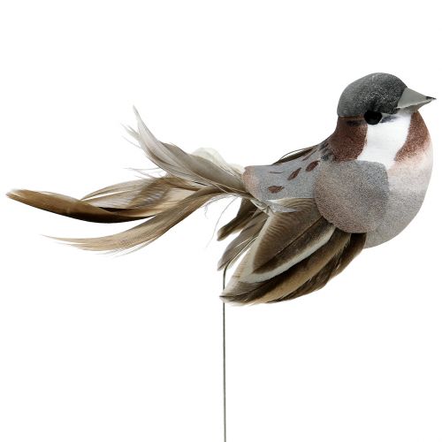 Floristik24 Deco Bird Gray, Brown 8,5cm 12pcs