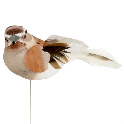 Floristik24 Decorative bird to stick Brown 10cm 12pcs