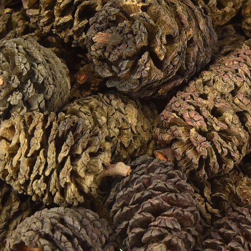 Product Decorative cones alder cones natural for decorating 3-4cm 200g