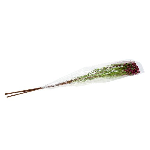 Floristik24 Deco branch with flowers Erika 80cm 3pcs