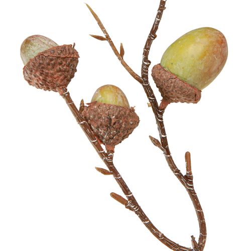 Product Decorative branch acorns decoration green autumn decoration artificial 80cm