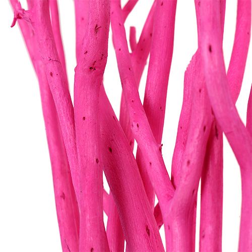 Floristik24 Decorative branches Mitsumata 45-60cm pink 12 pcs