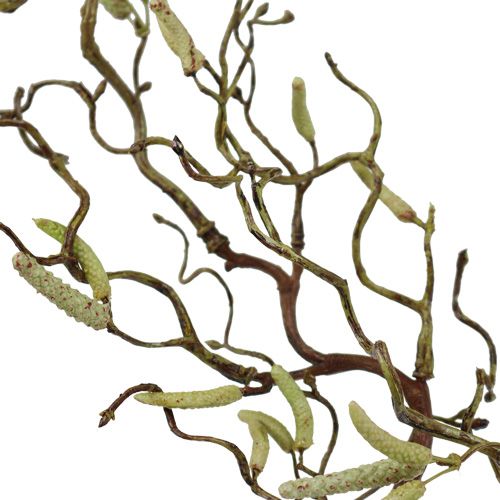 Floristik24 Deco birch branch 68cm