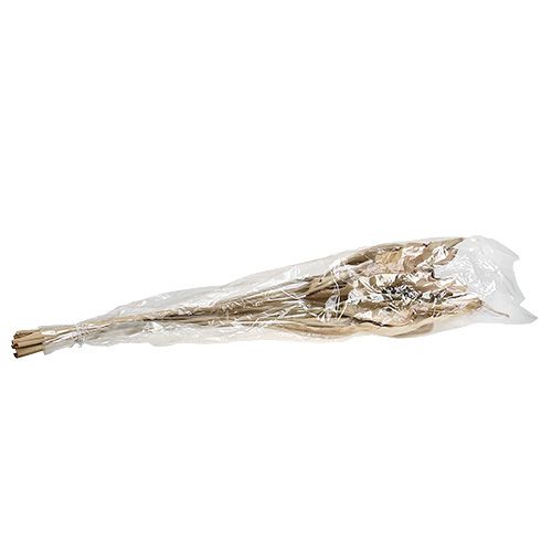 Floristik24 Decorative leaves natural 120cm 20 pcs