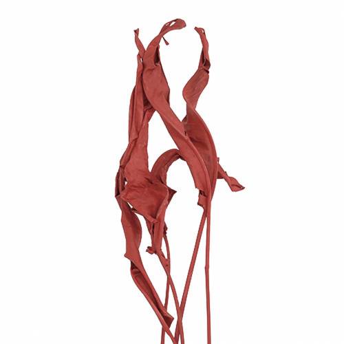 Floristik24 Decorative Leaves Strelitzia Red 85-105cm 10 pcs