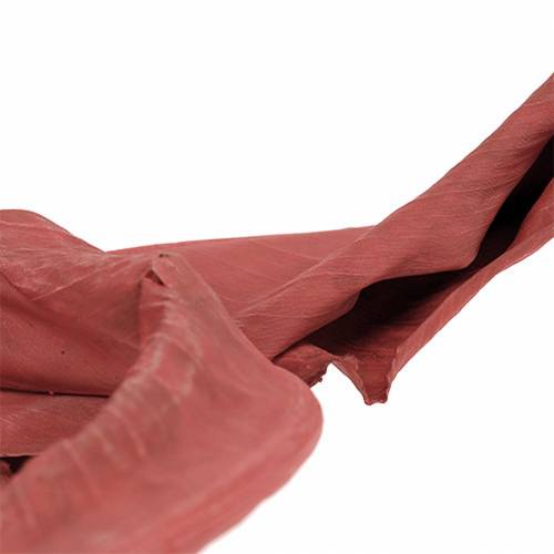 Floristik24 Decorative Leaves Strelitzia Red 85-105cm 10 pcs