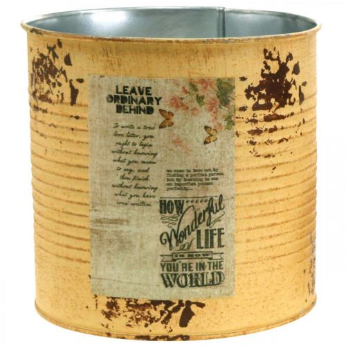 Product Decorative box apricot plant pot metal summer decoration Ø15.5cm H15cm