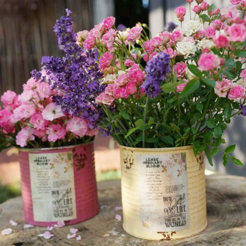 Product Decorative tin, apricot, metal plant pot, summer decoration, Ø15.5cm H15cm